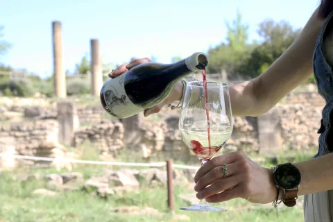 Degustación de vino tinto de Bodega Eslava en el yacimiento de Santa Criz de Eslava.