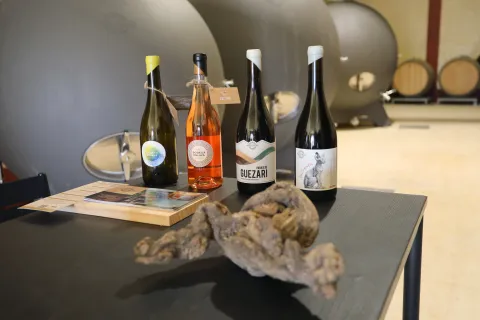 Degustación de vino tinto de Bodega Eslava en el yacimiento de Santa Criz de Eslava.