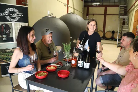 Cata de vinos en bodega Eslava con visitas degustando vinos locales y productos gourmet junto a depósitos de fermentación.