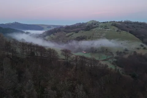 Vista de Belate cubierto de niebla matutina con bosque y pastizales en ladera de montaña.