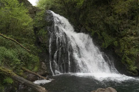 Cascada de Xorroxin en Baztan-Bidasoa con salto de agua entre vegetacion exuberante y bosque denso.