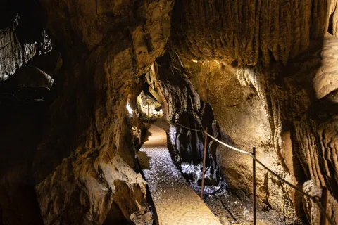 Cuevas de Urdazubi/Urdax