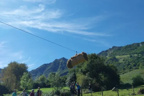 Día del Cable