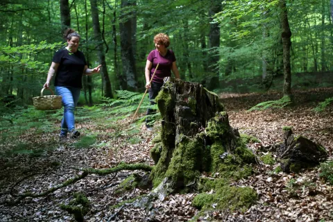 en el bosque, equipados con cestas de mimbre durante experiencia Orbelan en Arraitz, Plazaola-Sakana-Ultzamaldea.