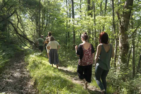 Grupo de senderistas en bosque en el valle de Araitz caminando descalzos por el sendero, experiencia de Ekino Aukera.