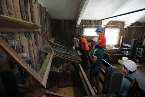 Visita educativa en granja escuela de Ultzama con niños observando granja de conejos y patos.