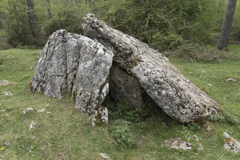 Dolmen megalítico de piedra en la Ruta de los Dólmenes de Aralar, rodeado de bosque de hayas.