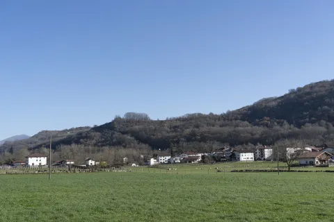 Narbarte haranaren panoramika, etxe sakabanatuekin, zelai berdeekin eta mendi basotsuekin.