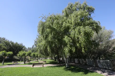 Paseo Cantolagua en Sangüesa con bancos de piedra y jardín junto al río Aragón.