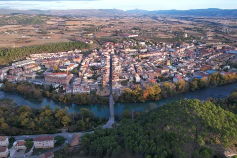 Vista aerea del Sanguesa, con rio y bosque al lado.