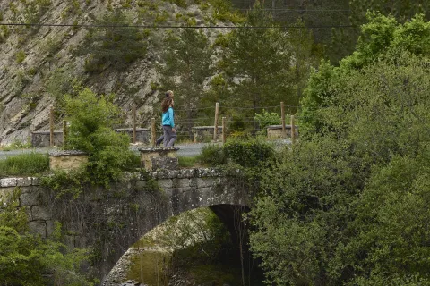 uente de piedra medieval en los alrededores de la foz de Arbayun con río, vegetación y cortado calizo detras.