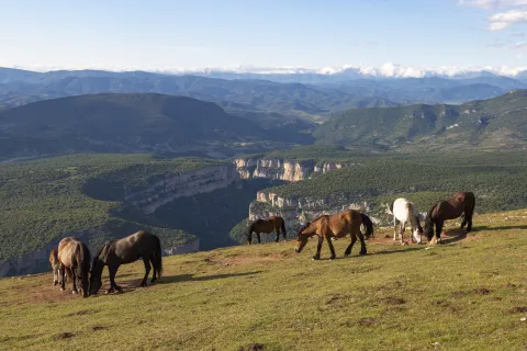 Sierra de Leyre | Vista de la Foz de Arbaiun
