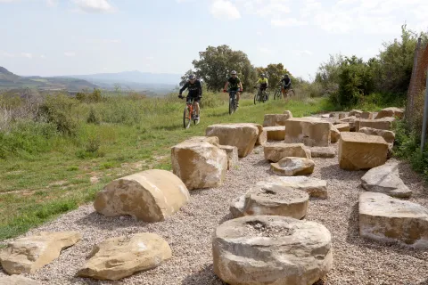 Grupo de ciclistas andando por el prado verde, al lado piedras.