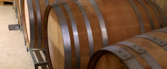 Barriles de madera con aros metalicos en Bodega Eslava, destinados a la elaboracion y envejecimiento de vino.