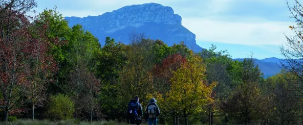Deux randonneurs sur le chemin de Saint-Jacques-de-Compostelle, traversant la vallée d'Ultzama avec une forêt d'automne mixte et