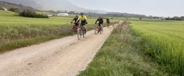 Grupo de ciclistas en camino rural entre campos verdes del territorio Eslava, con montañas al fondo.