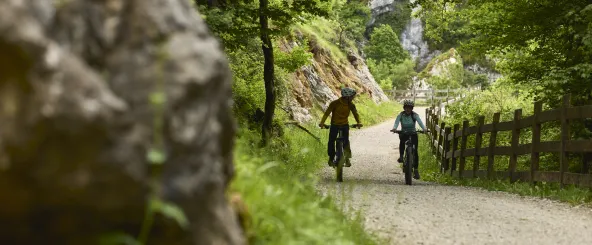 Dos ciclistas en ruta por la Vía Verde del Plazaola pedalean por camino de piedras, a un lado un muro de piedras y vegetación.