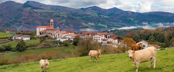 Ziga - valle de Baztan