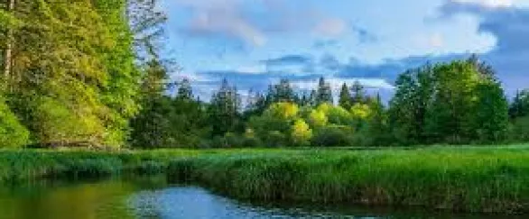 Nature