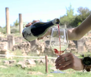 Degustación de vino tinto de Bodega Eslava en el yacimiento de Santa Criz de Eslava.