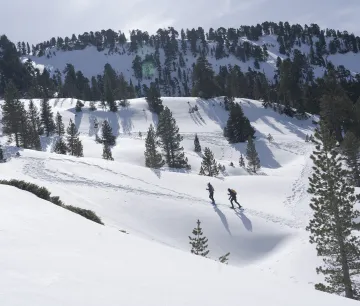 Dos personas con raquetas en paisaje nevado de Larra-Belagua, Pirineo navarro, con pinos dispersos y montañas al fondo 