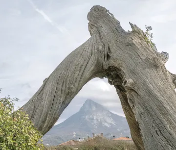Tronco retorcido de árbol enmarca vista de Etxarri Aranaz con monte al fondo bajo cielo nublado.