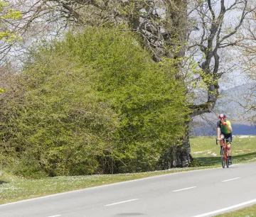 Parque Natural de Urbasa-Andía | Ciclista