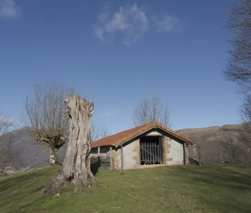 A traditional stone wall in a green meadow surrounded by ancient trees in Baztan-Bidasoa.