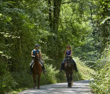 Vía Verde del Bidasoa | Paseo a caballo