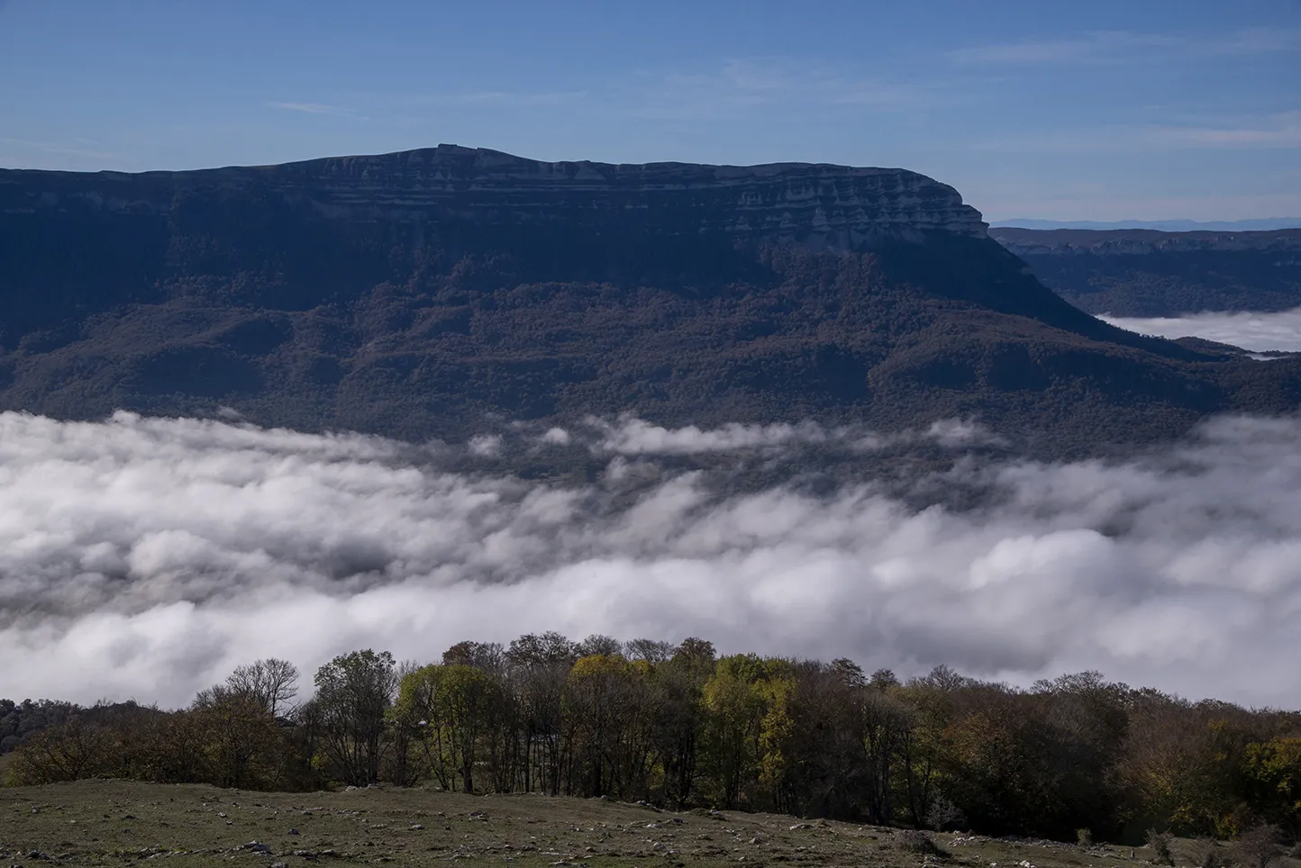 Vista de la Sierra de Aralar con bosque denso, cortados rocosos y niebla matutina.