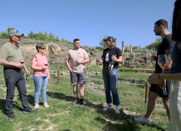 Grupo de visitantes degustando vino de la Bodega Eslava con yacimiento de Santa Criz de Eslava al fondo.