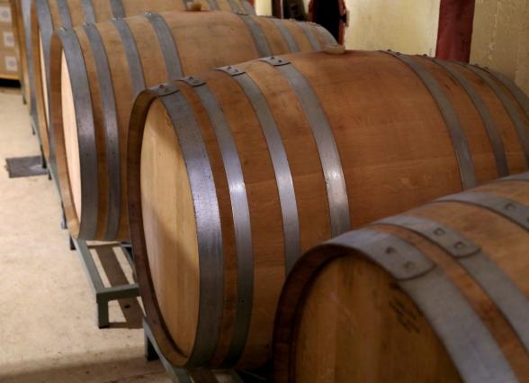 Grupo visitando viñedo en Bodega Eslava, observando planta de vid con montañas al fondo.