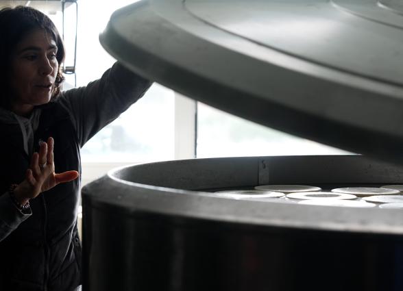 Productora de experiencia Beloki Mendia mostrando maquinaria de elaboración de queso, en Uztegui, Plazaola-Sakana-Ultzamaldea.