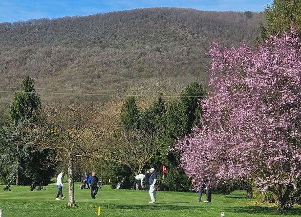 en campo de golf Lizaso, valle de Ultzama, con prados verdes y bosque de fondo, en Plazaola-Sakana-Ultzamaldea.
