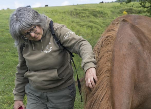 Propietaria de la experiencia Caballos del bosque acaricia a uno de los caballos en un prado verde.