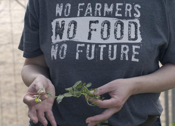 Persona sostiene planta de huerto en manos con camiseta de mensaje sobre la importancia de las granjas.