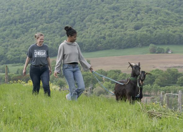 Dos trabajadoras pasean con cabras negras en prado verde de Curly Creek Ranch, valle de Ultzama con bosque al fondo.