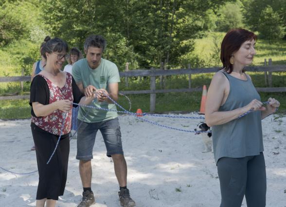 Grupo de pesonas participando en la experiencia de Ekino Aukera, donde aprenden a entender a los caballos y conectar con ellos.