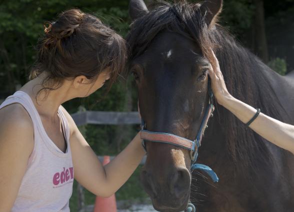 Mujer acariciando caballo marrón dentro de la experiencia de Ekino Aukera.