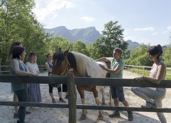 Grupo de visitantes interactúan con caballo en recinto con vallas de madera, Experiencia Ekino Aukera, con sierra al fondo.