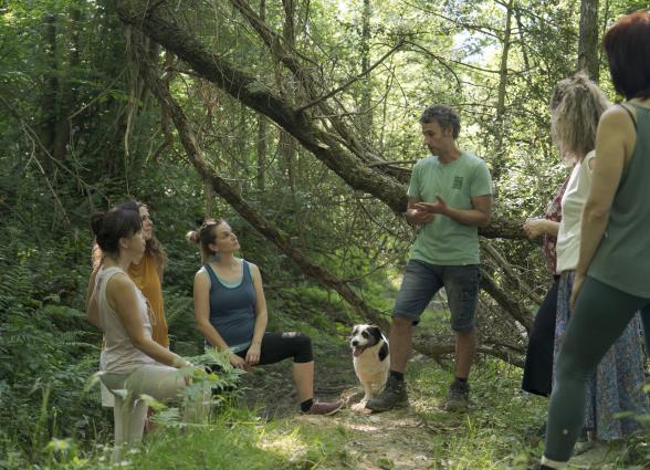 Grupo de visitantes conectando con la naturaleza en un entorno boscoso con vegetación, parte de la experiencia de Ekino Aukera.