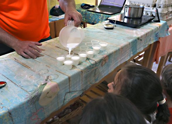 Demostración de elaboración de producto en granja escuela de Ultzama, vertiendo leche en vasitos de plastico.