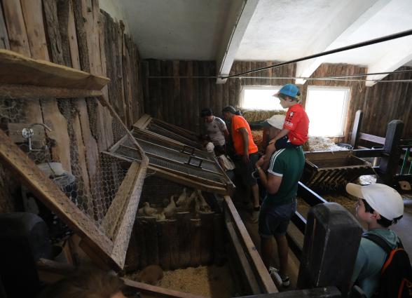 Visita educativa en granja escuela de Ultzama con niños observando granja de conejos y patos.