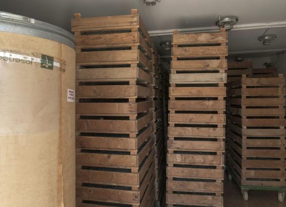 Interior con bandejas de cultivo de madera para cultivo  en Experiencia Josenea Bio de Lumbier, Comarca de Sangüesa.