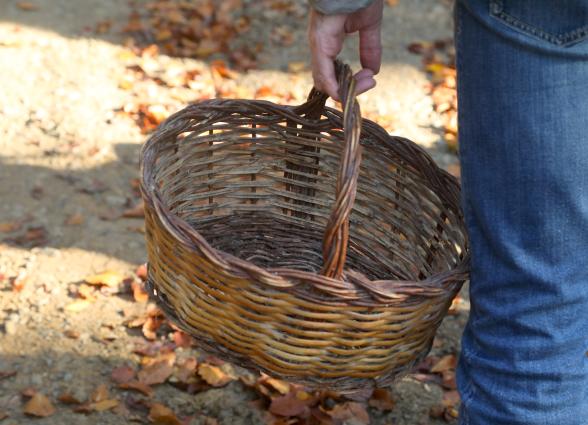 Cesta de mimbre tradicional para recolección.