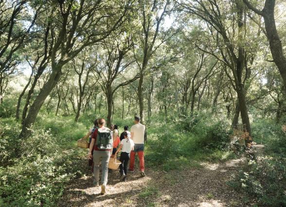 Grupo de senderistas con cestas de mimbre en sendero rodeado de arboles en la Ulzama en la experiencia turistica Saskiak.