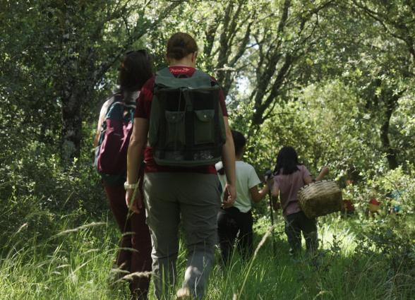 Grupo de senderistas en bosque del Valle de Ultzama caminando por sendero sombreado con cestas de mimbre.