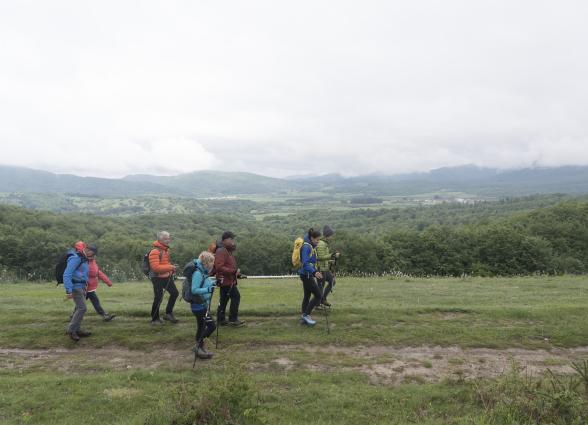 Grup de personas caminan en esplanada verde con bosque y monte al fondo, experiencia turistica de Lorentx.