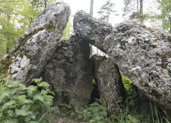 Detalle de un dolmen megalítico de piedra en la Ruta de los Dólmenes de Aralar, rodeado de bosque de hayas.