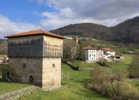 Torre de Donamaria | Vista general